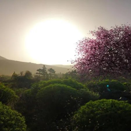 Διαμέρισμα Familiar Con Gran Terraza Y Vistas Al Mar *