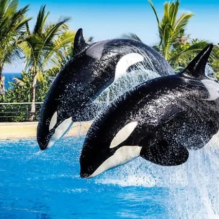 Familiar Con Gran Terraza Y Vistas Al Mar Apartamento