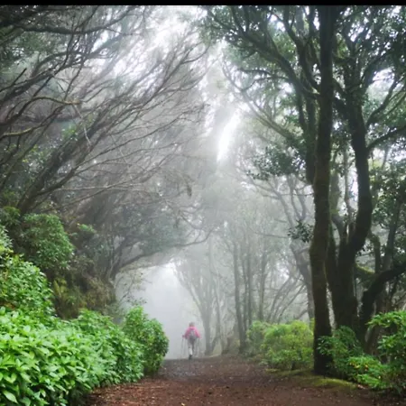 Familiar Con Gran Terraza Y Vistas Al Mar * Playa Paraiso (Tenerife)